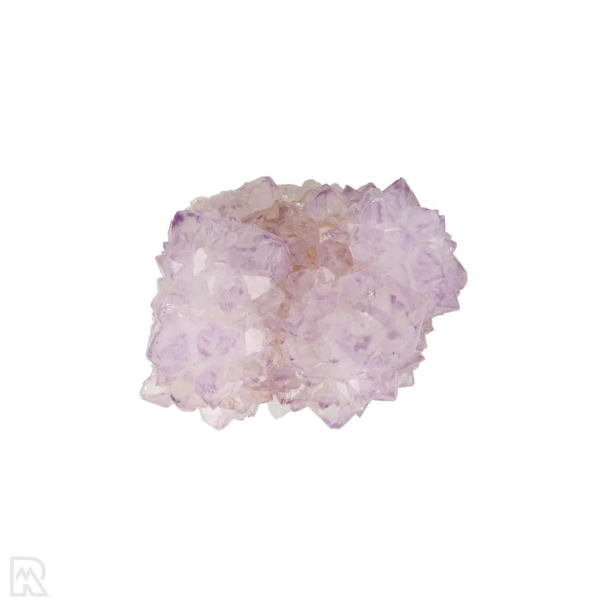 Kaktus - Geist Amethyst Cluster 6 Cactus - Spirit Amethyst Cluster aus Südafrika mit der Artikelnummer 21160