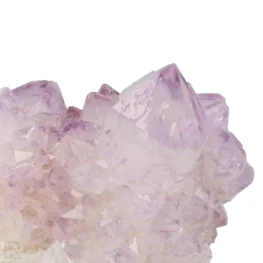 Cactus - Spirit Amethyst Cluster aus Südafrika mit der Artikelnummer 21160