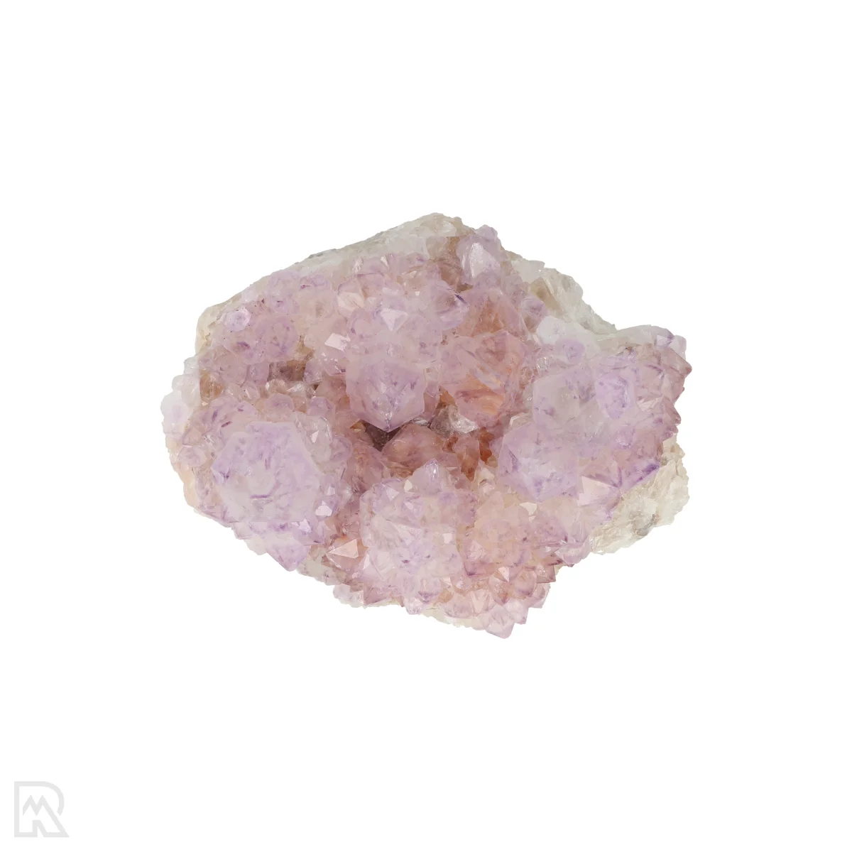 Kaktus - Geist Amethyst Cluster 6 Cactus - Spirit Amethyst Cluster aus Südafrika mit der Artikelnummer 21161