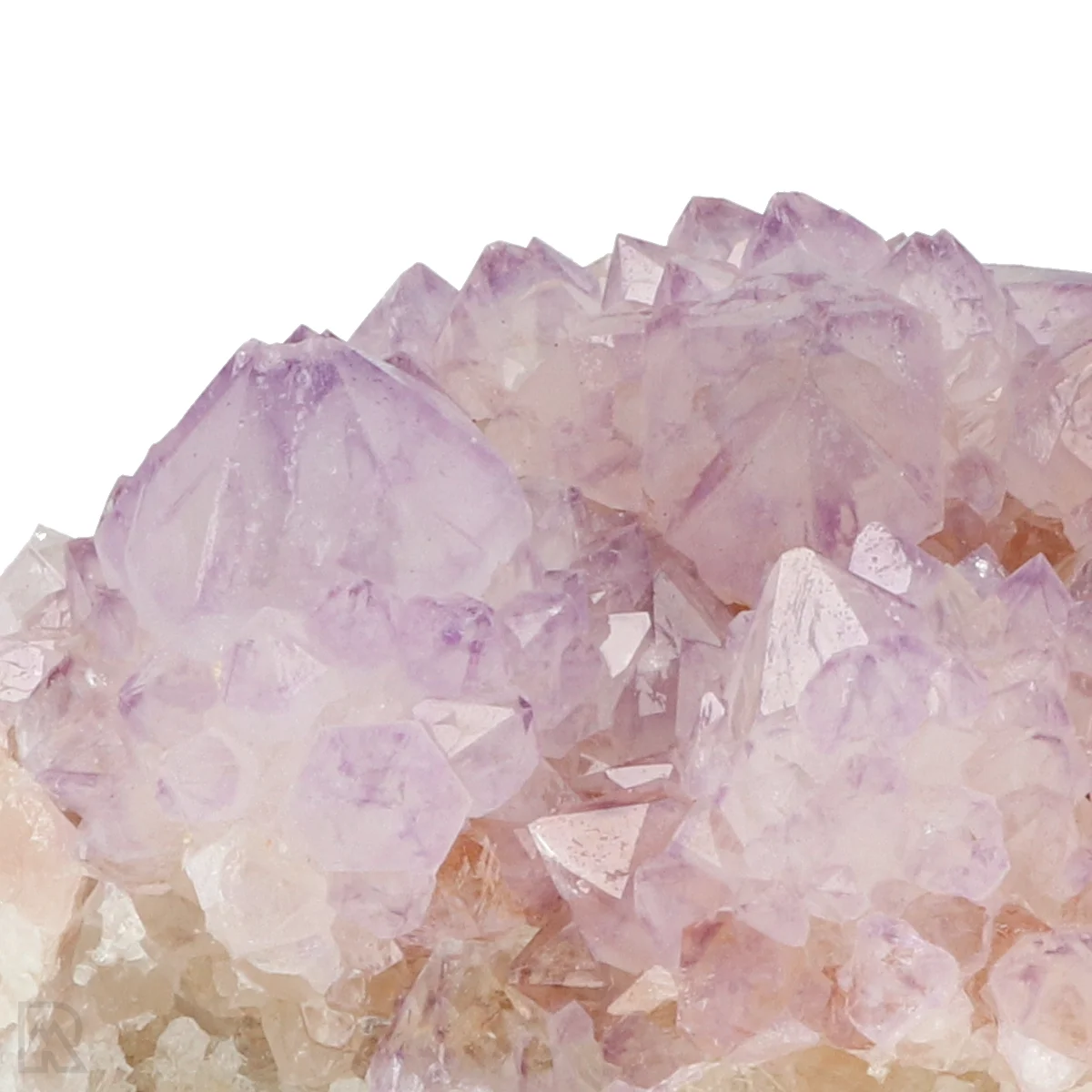 Kaktus - Geist Amethyst Cluster 2 Cactus - Spirit Amethyst Cluster aus Südafrika mit der Artikelnummer 21161