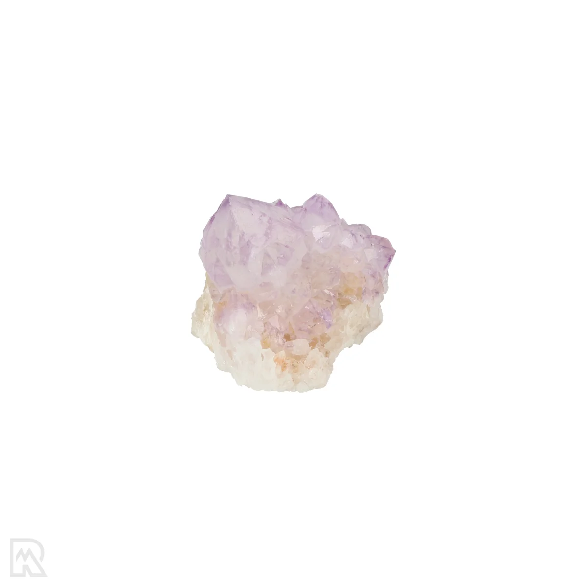 Kaktus - Geist Amethyst Cluster 5 Cactus - Spirit Amethyst Cluster aus Südafrika mit der Artikelnummer 21162