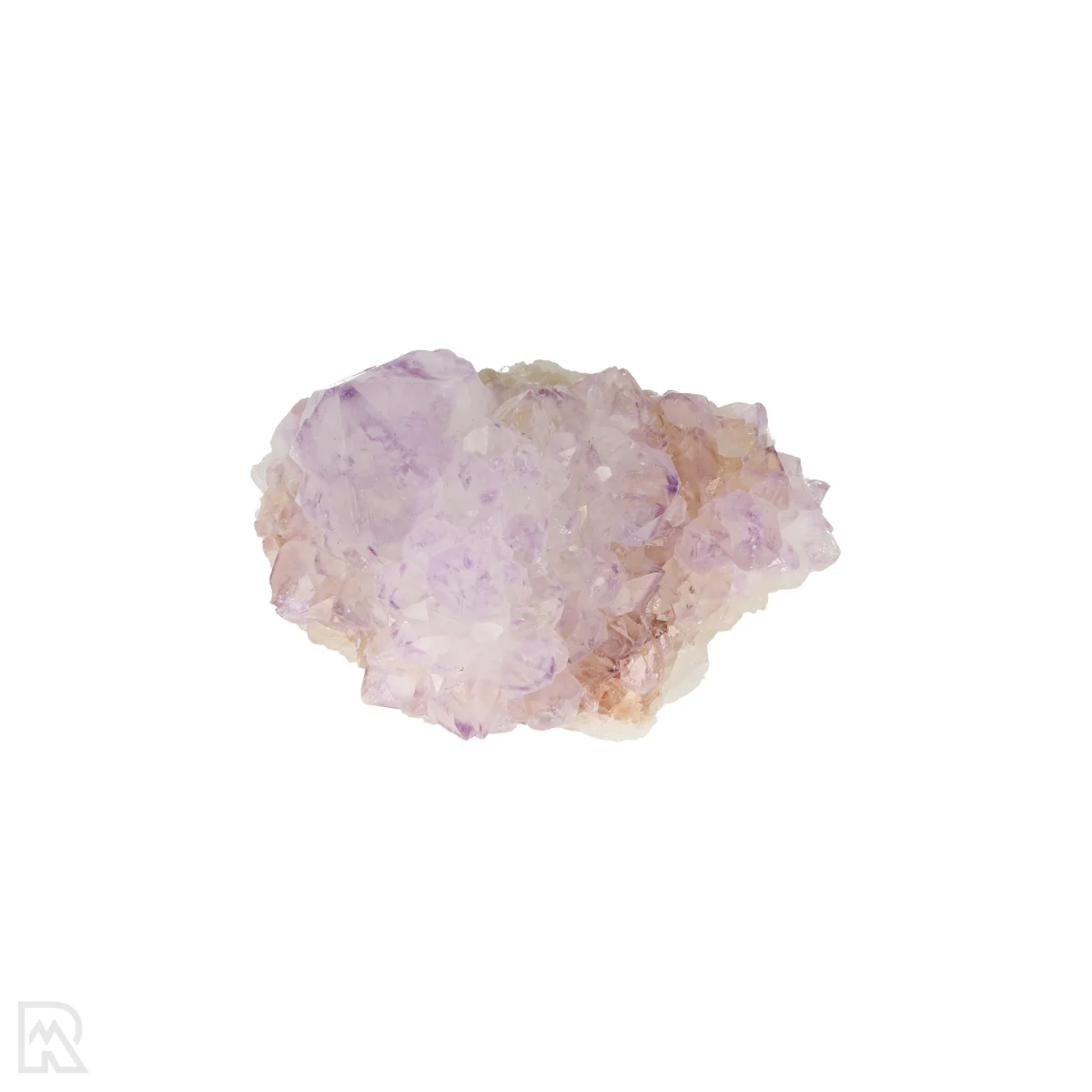 Kaktus - Geist Amethyst Cluster 6 Cactus - Spirit Amethyst Cluster aus Südafrika mit der Artikelnummer 21162