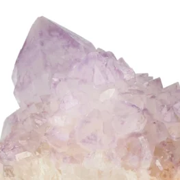 Cactus - Spirit Amethyst Cluster aus Südafrika mit der Artikelnummer 21162