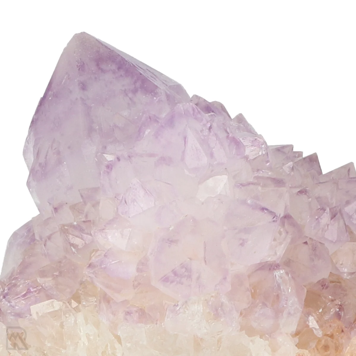 Kaktus - Geist Amethyst Cluster 2 Cactus - Spirit Amethyst Cluster aus Südafrika mit der Artikelnummer 21162