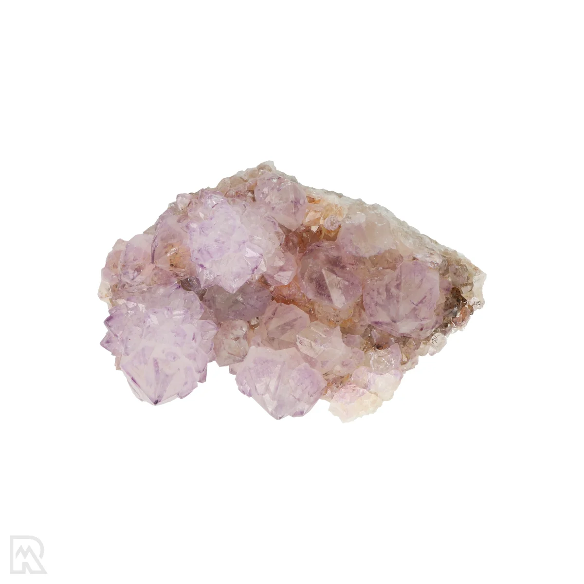 Kaktus - Geist Amethyst Cluster 6 Cactus - Spirit Amethyst Cluster aus Südafrika mit der Artikelnummer 21163