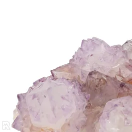 Cactus - Spirit Amethyst Cluster aus Südafrika mit der Artikelnummer 21163