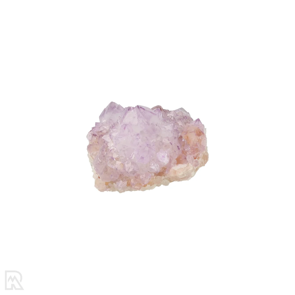 Kaktus - Geist Amethyst Cluster 3 Cactus - Spirit Amethyst Cluster aus Südafrika mit der Artikelnummer 21164