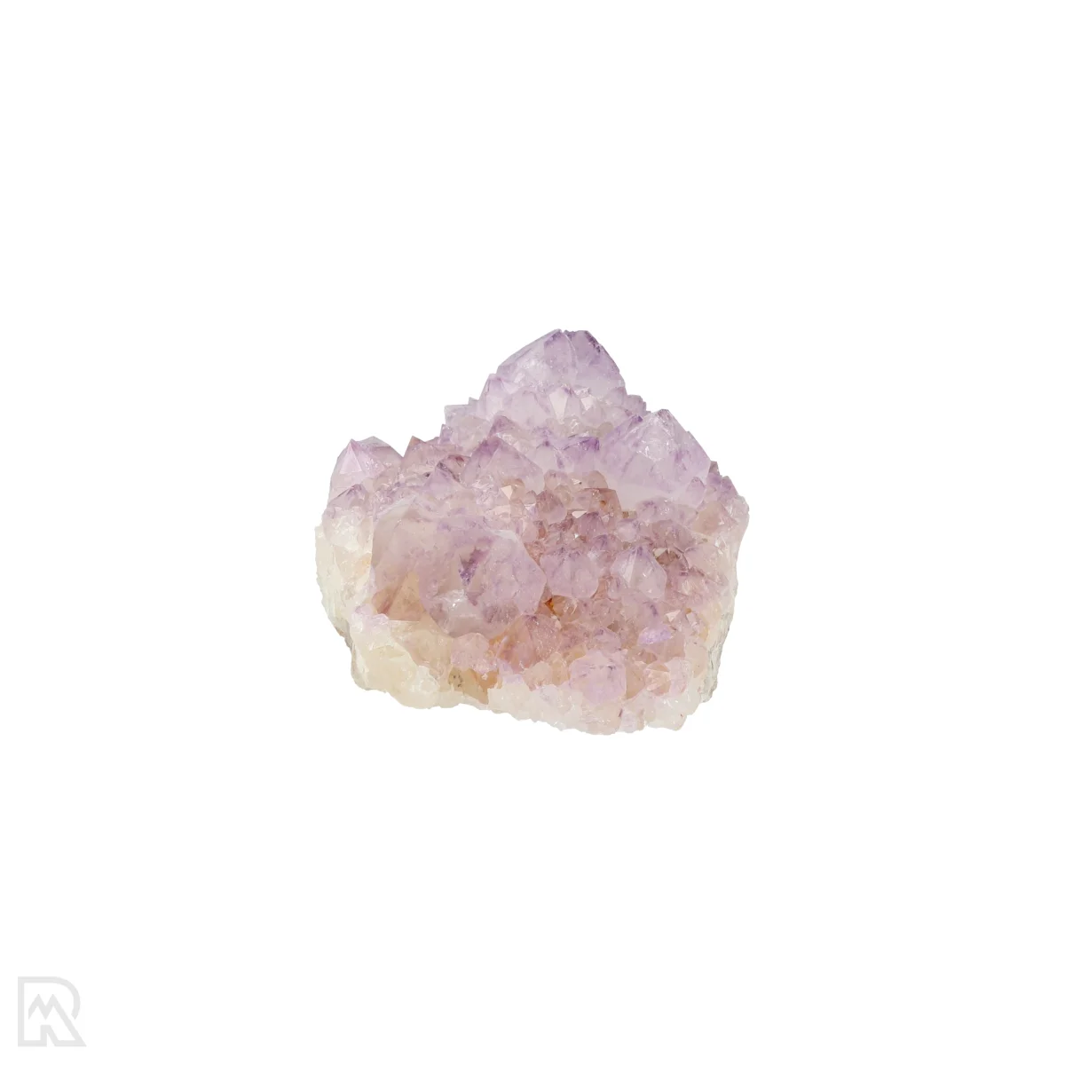 Kaktus - Geist Amethyst Cluster 5 Cactus - Spirit Amethyst Cluster aus Südafrika mit der Artikelnummer 21164