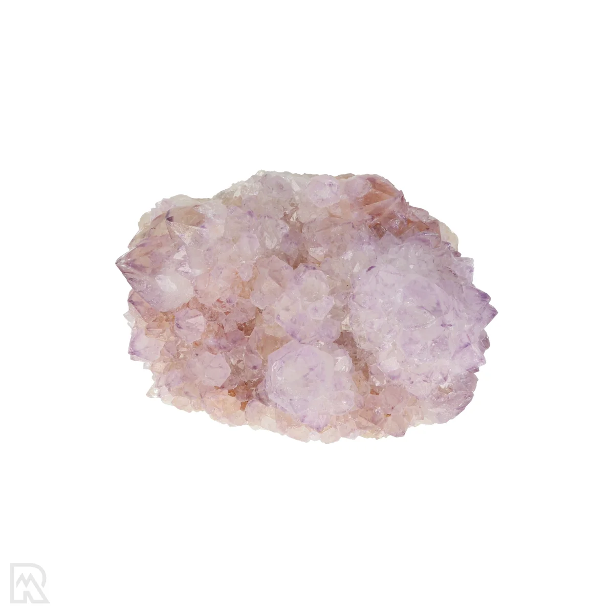 Kaktus - Geist Amethyst Cluster 6 Cactus - Spirit Amethyst Cluster aus Südafrika mit der Artikelnummer 21164