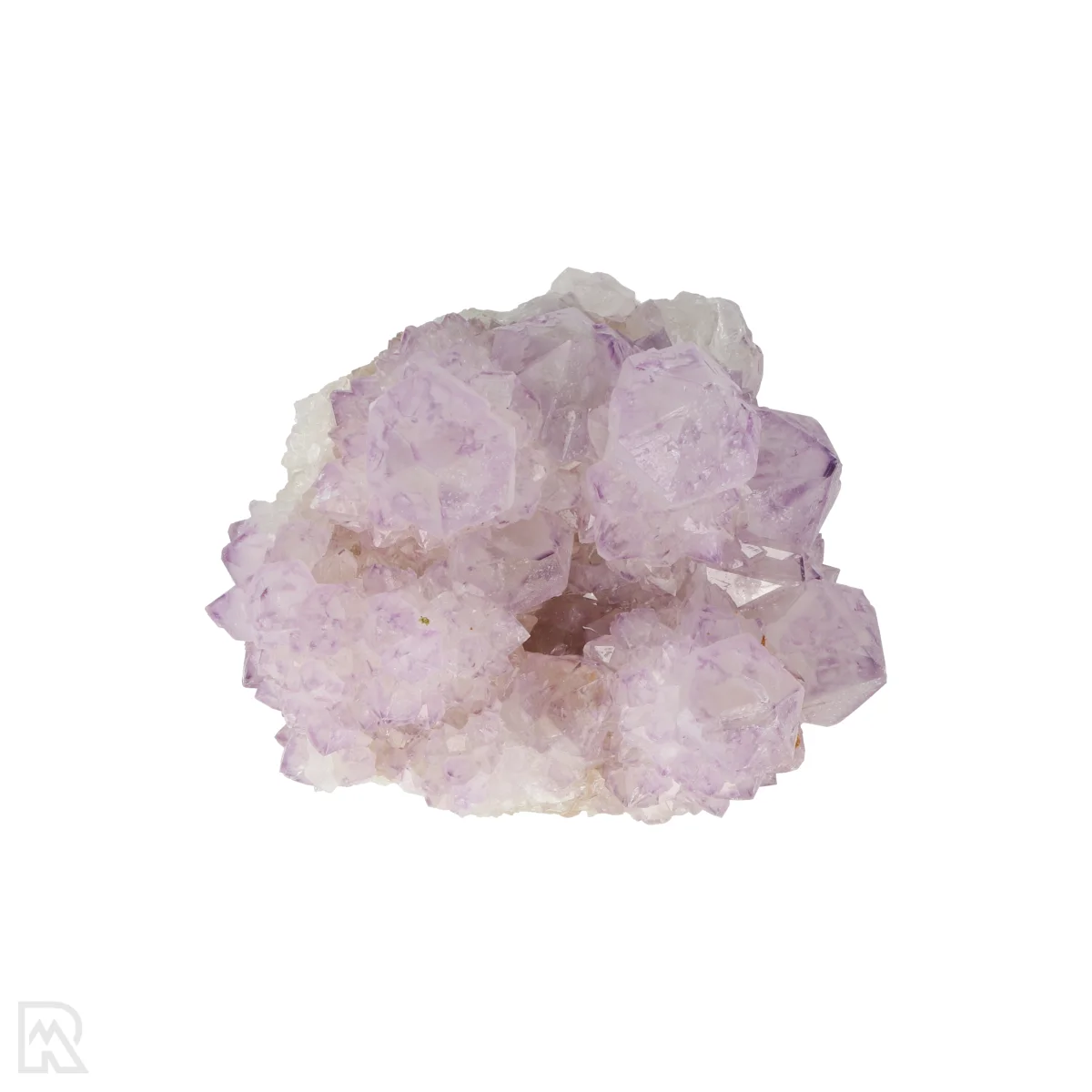 Kaktus - Geist Amethyst Cluster 6 Cactus - Spirit Amethyst Cluster aus Südafrika mit der Artikelnummer 21166