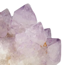 Cactus - Spirit Amethyst Cluster aus Südafrika mit der Artikelnummer 21166