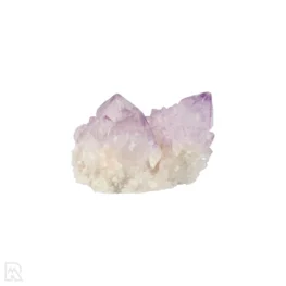 Cactus - Spirit Amethyst Cluster aus Südafrika mit der Artikelnummer 21167