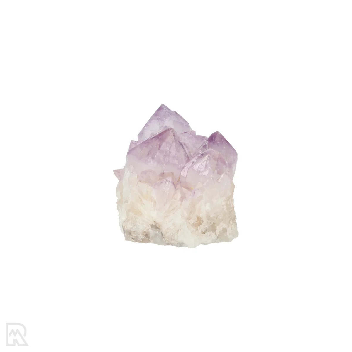 Kaktus - Geist Amethyst Cluster 5 Cactus - Spirit Amethyst Cluster aus Südafrika mit der Artikelnummer 21167