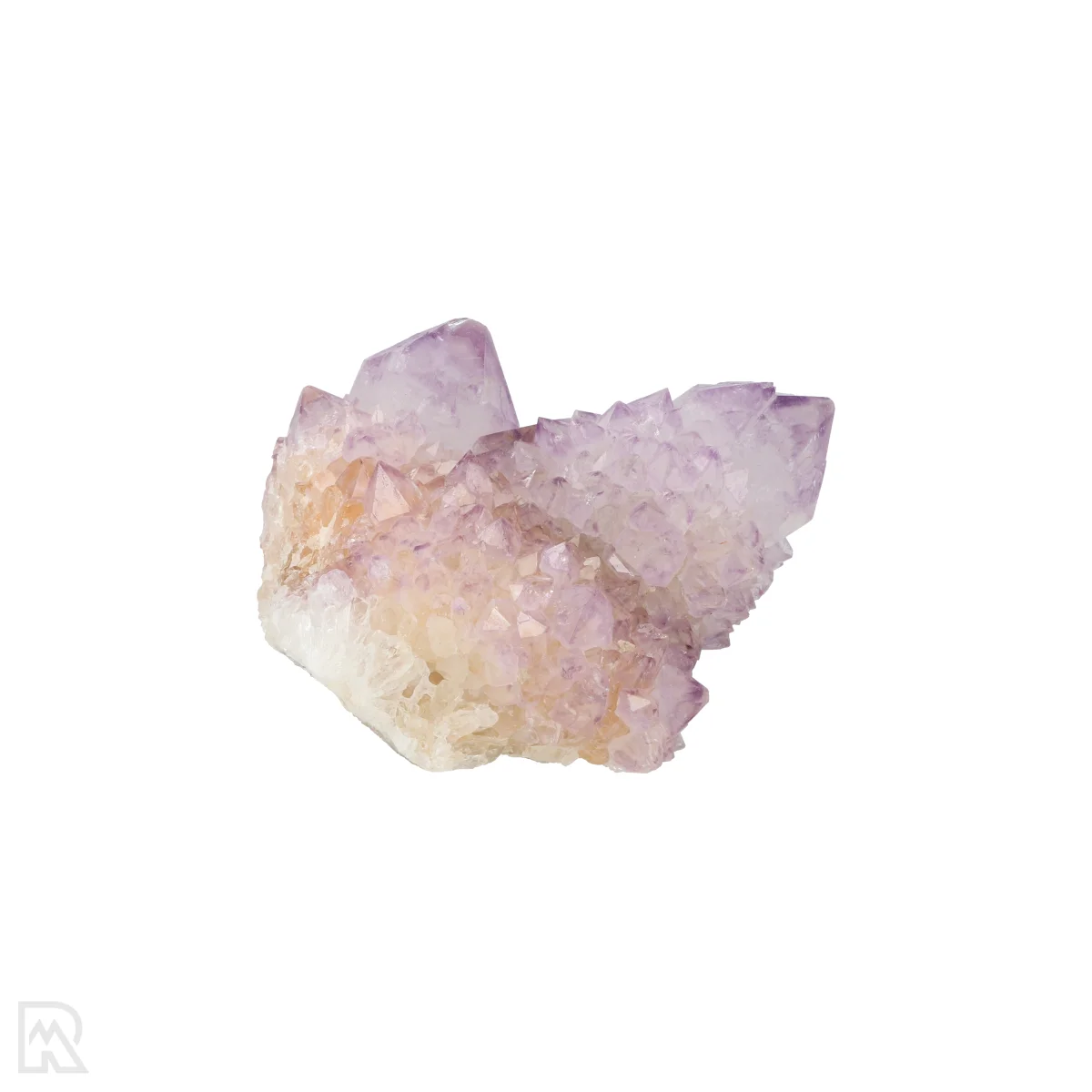 Kaktus - Geist Amethyst Cluster 1 Cactus - Spirit Amethyst Cluster aus Südafrika mit der Artikelnummer 21168