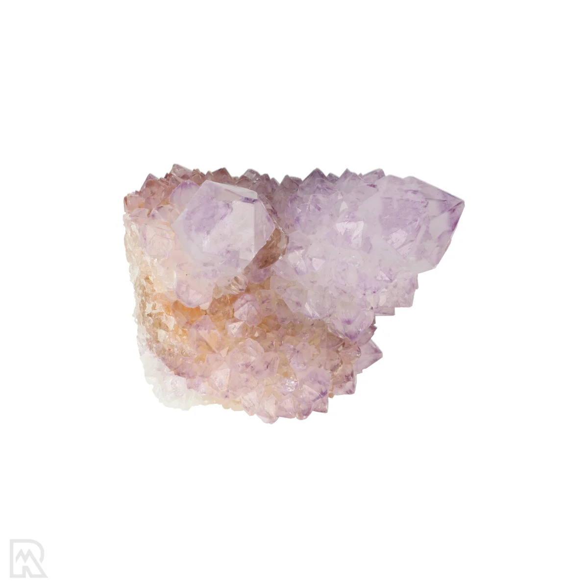 Kaktus - Geist Amethyst Cluster 6 Cactus - Spirit Amethyst Cluster aus Südafrika mit der Artikelnummer 21168