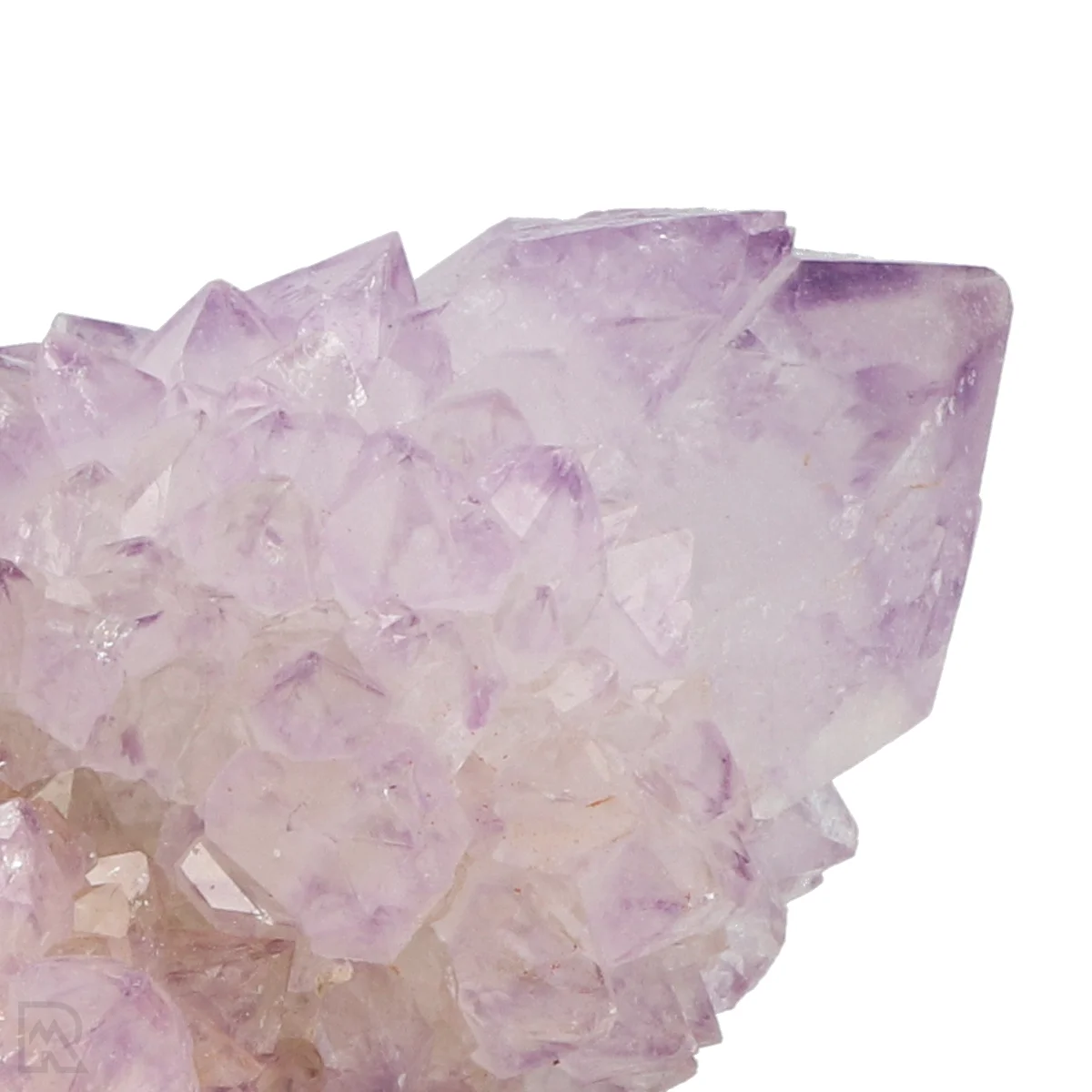 Kaktus - Geist Amethyst Cluster 2 Cactus - Spirit Amethyst Cluster aus Südafrika mit der Artikelnummer 21168