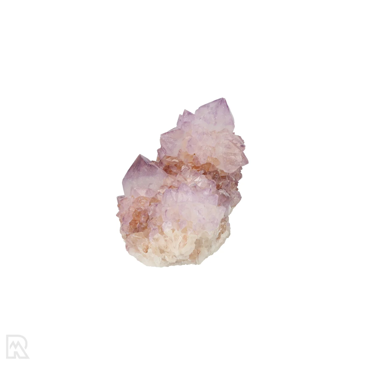 Kaktus - Geist Amethyst Cluster 3 Cactus - Spirit Amethyst Cluster aus Südafrika mit der Artikelnummer 21169