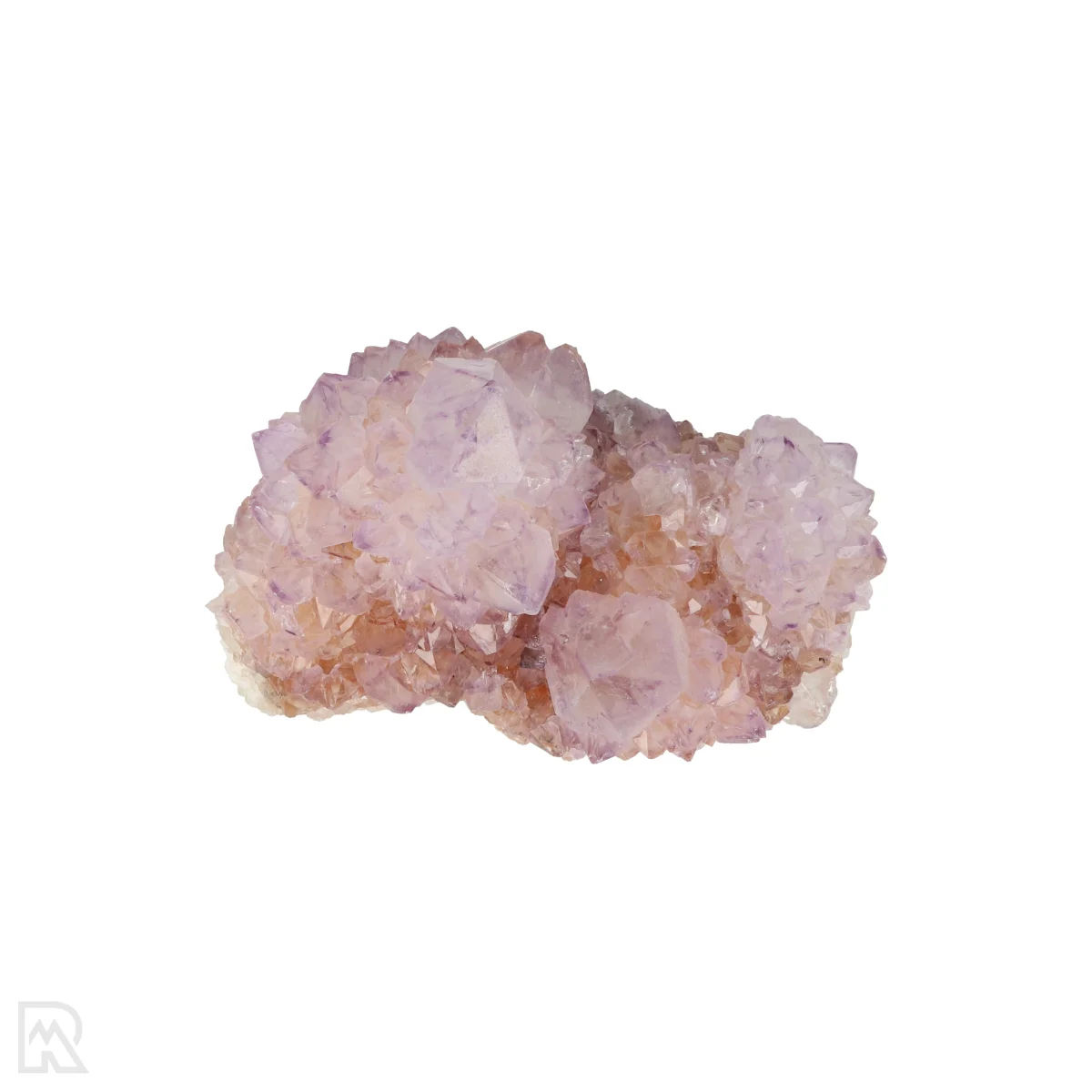 Kaktus - Geist Amethyst Cluster 6 Cactus - Spirit Amethyst Cluster aus Südafrika mit der Artikelnummer 21169