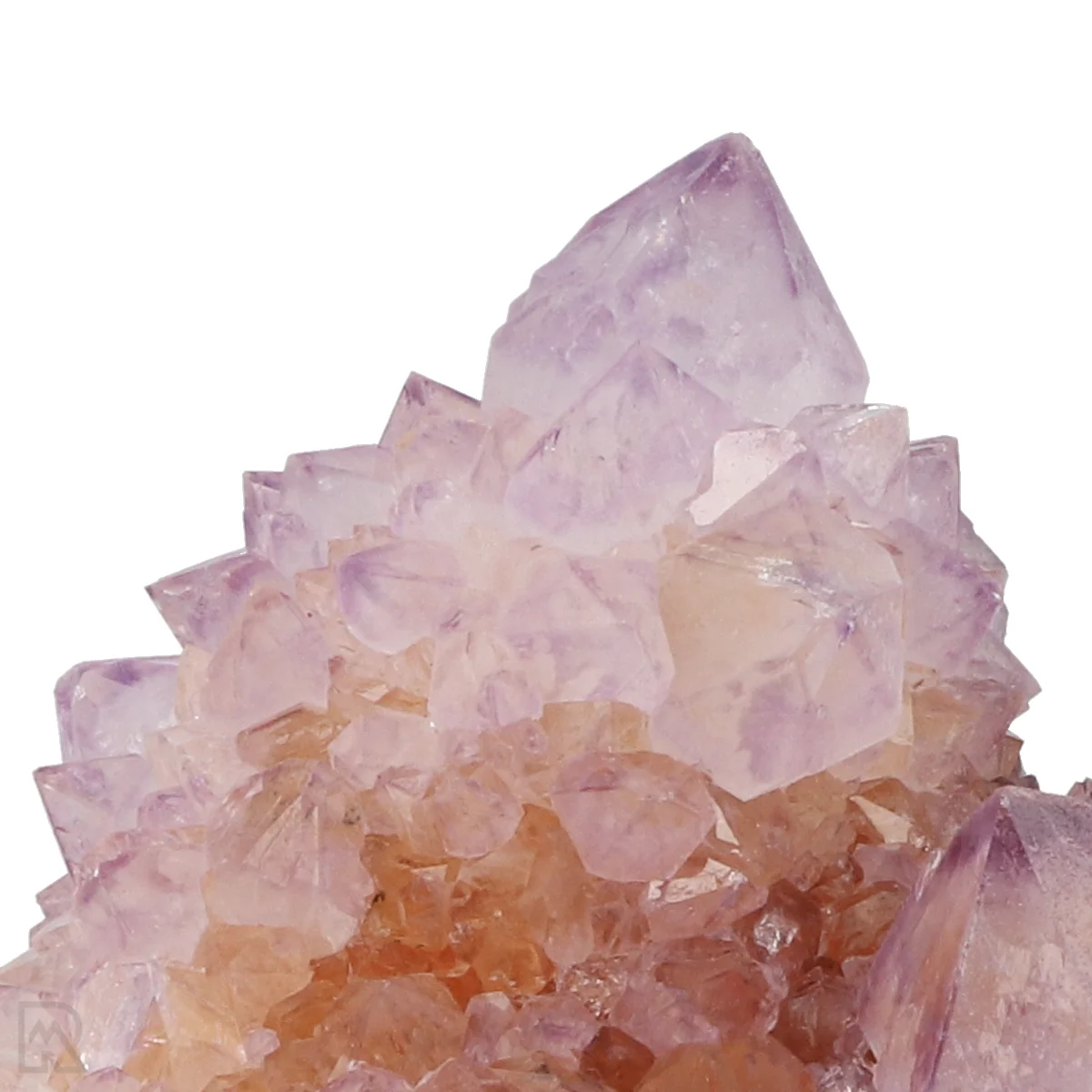 Kaktus - Geist Amethyst Cluster 2 Cactus - Spirit Amethyst Cluster aus Südafrika mit der Artikelnummer 21169