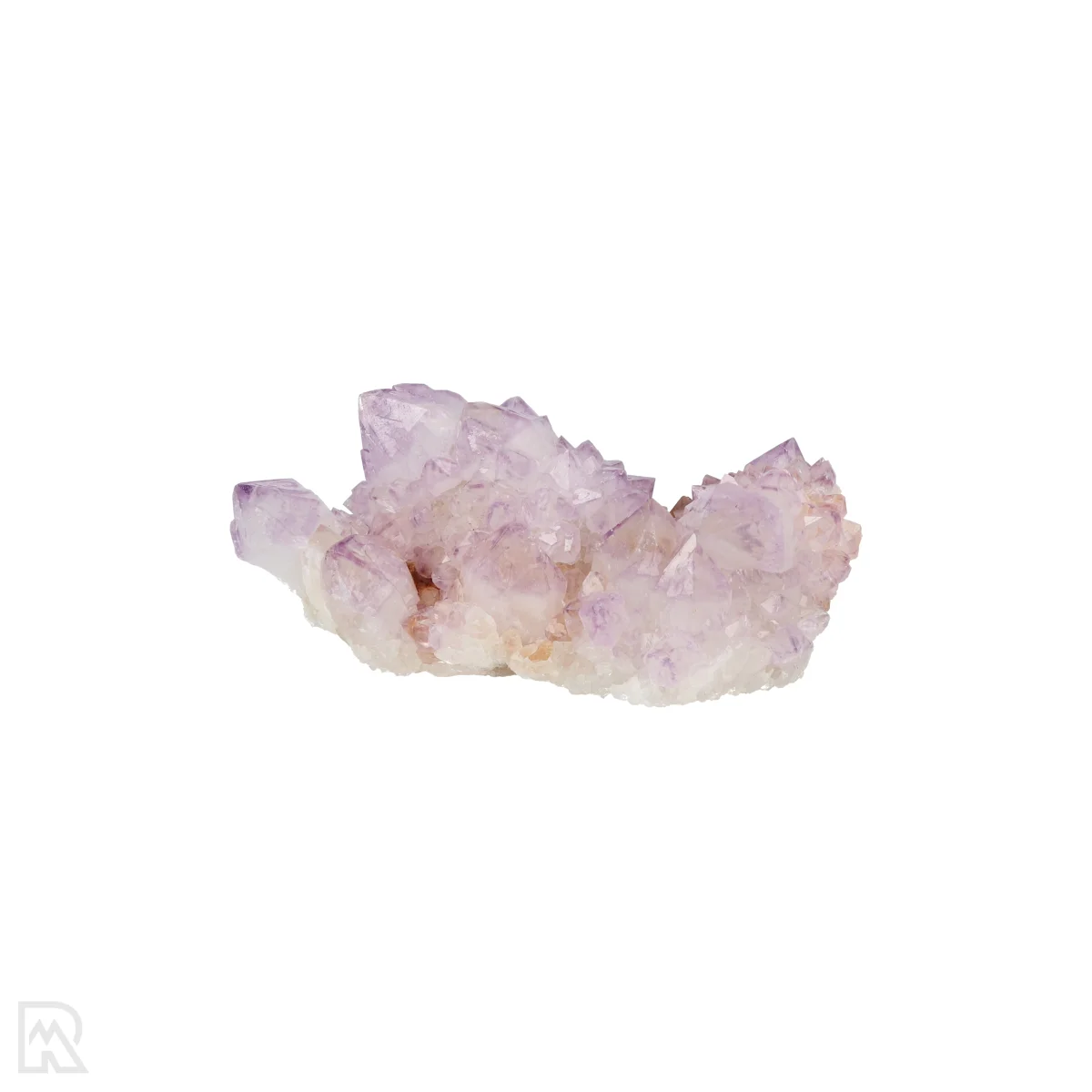 Kaktus - Geist Amethyst Cluster 1 Cactus - Spirit Amethyst Cluster aus Südafrika mit der Artikelnummer 21170