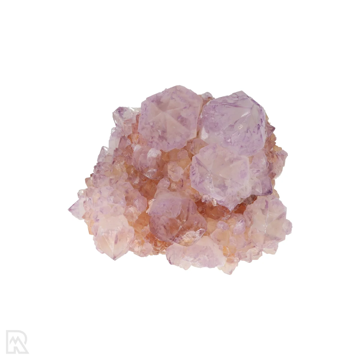 Kaktus - Geist Amethyst Cluster 6 Cactus - Spirit Amethyst Cluster aus Südafrika mit der Artikelnummer 21171