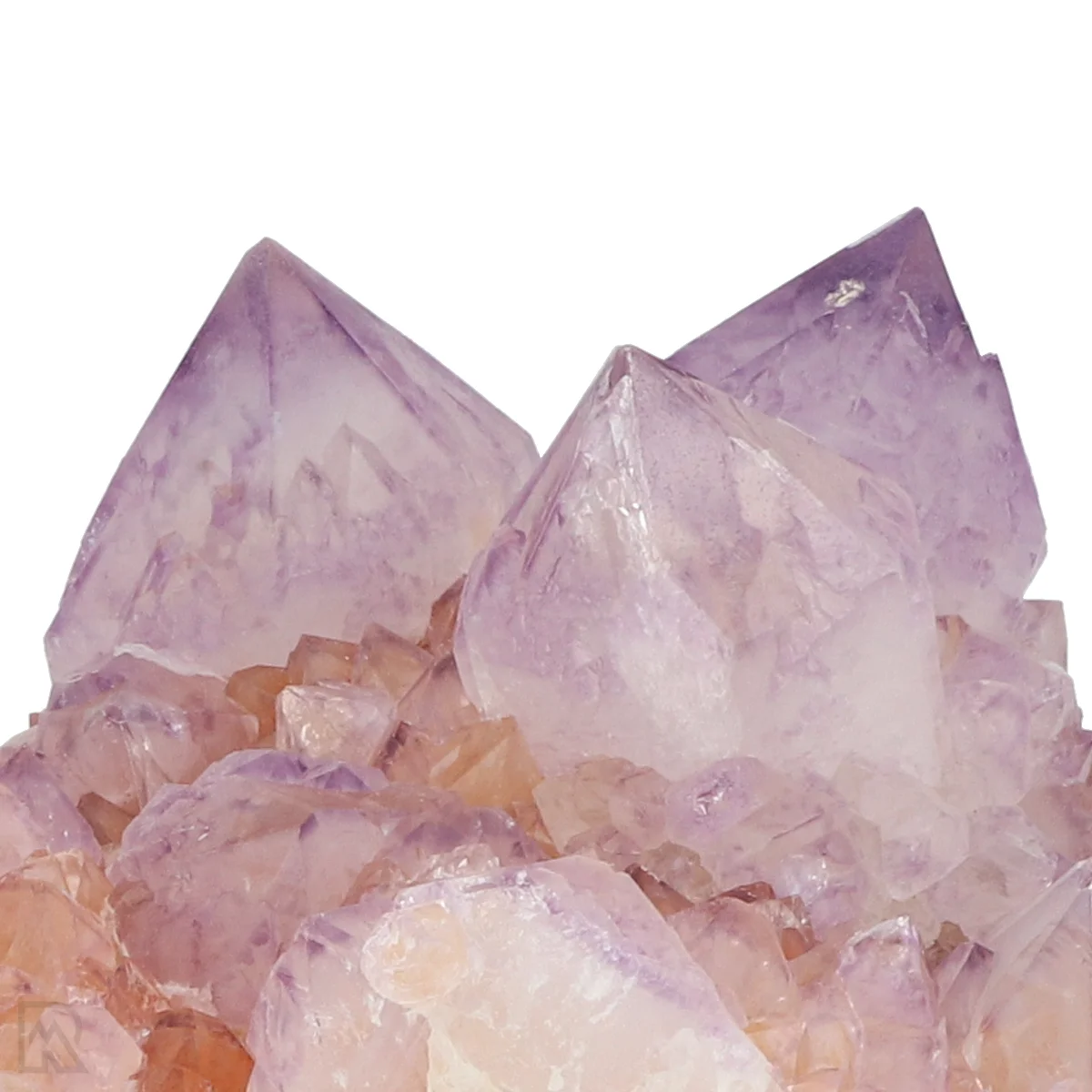 Kaktus - Geist Amethyst Cluster 2 Cactus - Spirit Amethyst Cluster aus Südafrika mit der Artikelnummer 21171