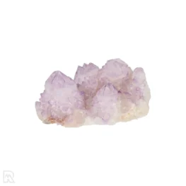 Cactus - Spirit Amethyst Cluster aus Südafrika mit der Artikelnummer 21172