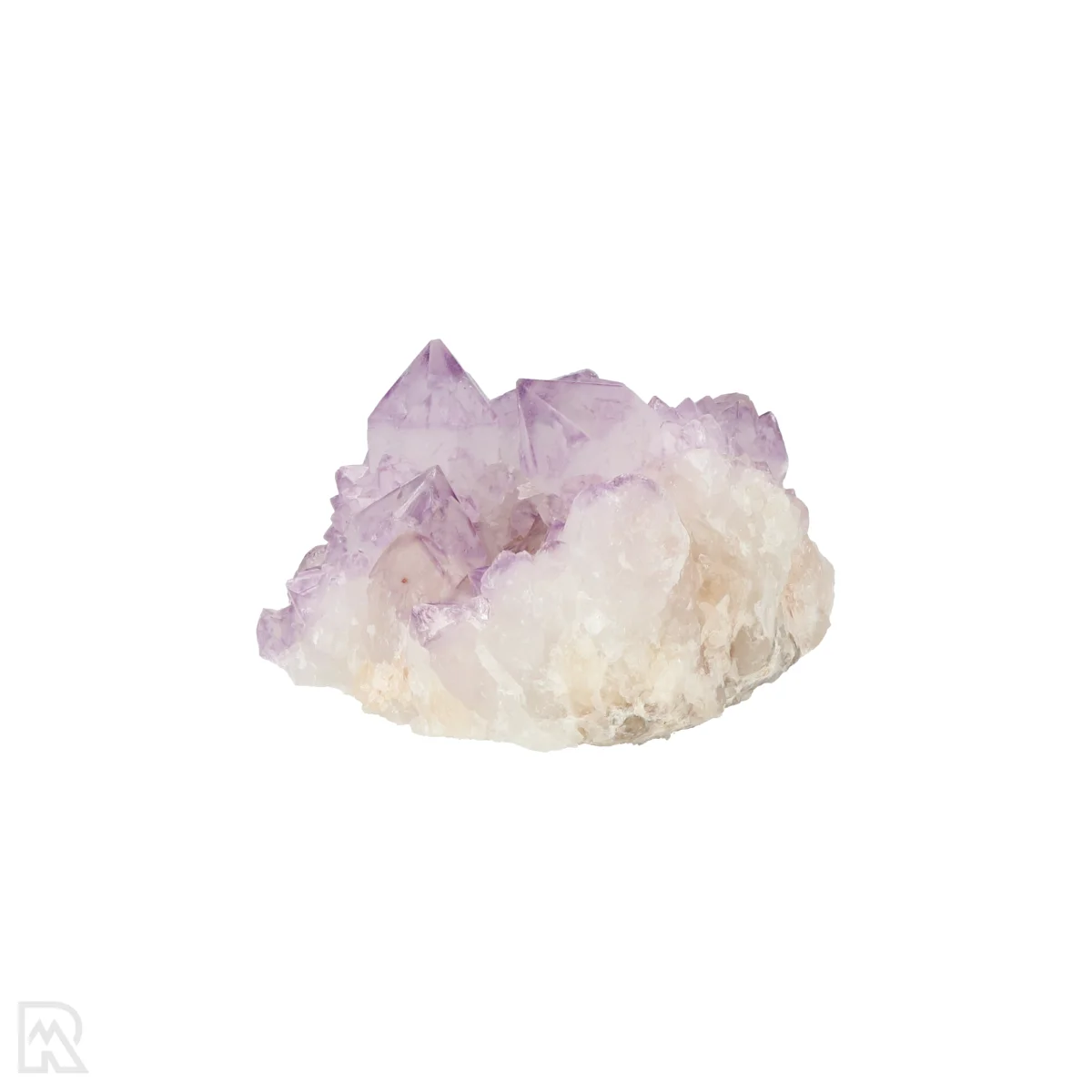 Kaktus - Geist Amethyst Cluster 3 Cactus - Spirit Amethyst Cluster aus Südafrika mit der Artikelnummer 21172