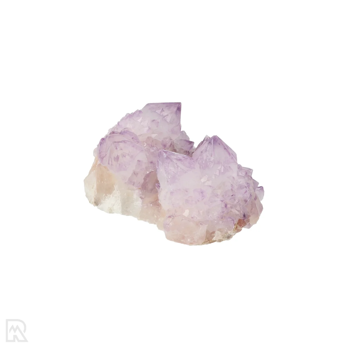 Kaktus - Geist Amethyst Cluster 5 Cactus - Spirit Amethyst Cluster aus Südafrika mit der Artikelnummer 21172