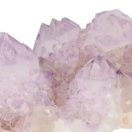 Cactus - Spirit Amethyst Cluster aus Südafrika mit der Artikelnummer 21172