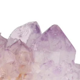 Cactus - Spirit Amethyst Cluster from South Africa with item number 21173