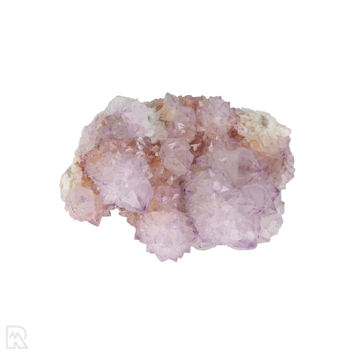 Cactus - Spirit Amethyst Cluster 6 Cactus - Spirit Amethyst Cluster from South Africa with item number 21174