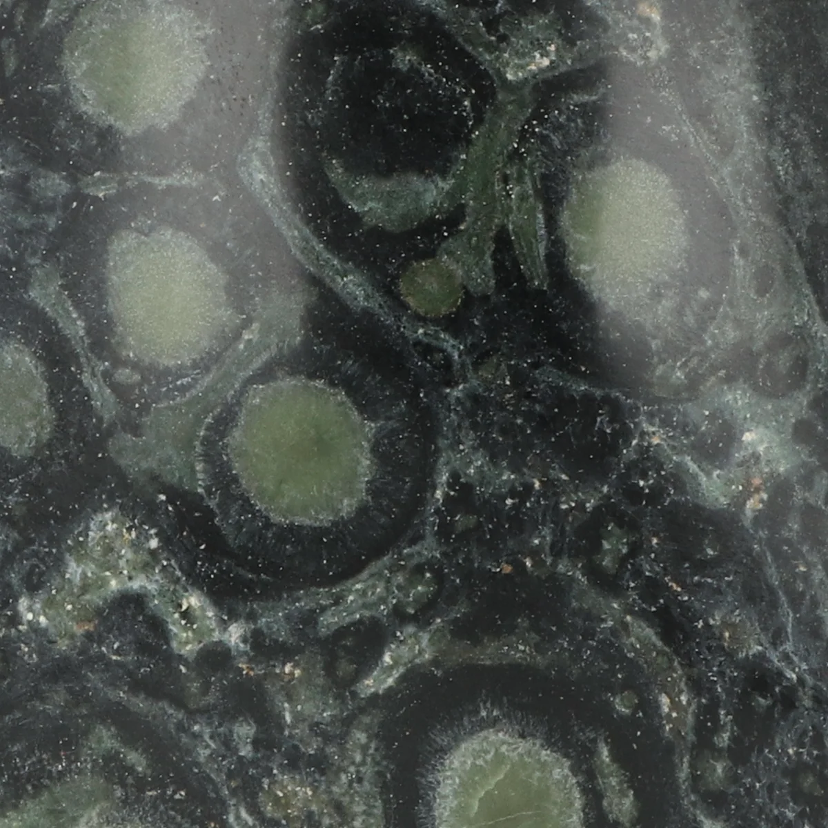 Kambaba Jaspis-Skulptur 2 Kambaba-Jaspis-Skulptur aus Madagaskar mit der Artikelnummer 21176