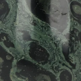 Kambaba Jaspis Sculptuur uit Madagaskar met artikelnummer 21202