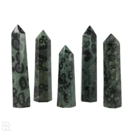 Kambaba Jaspis Punten Madagaskar