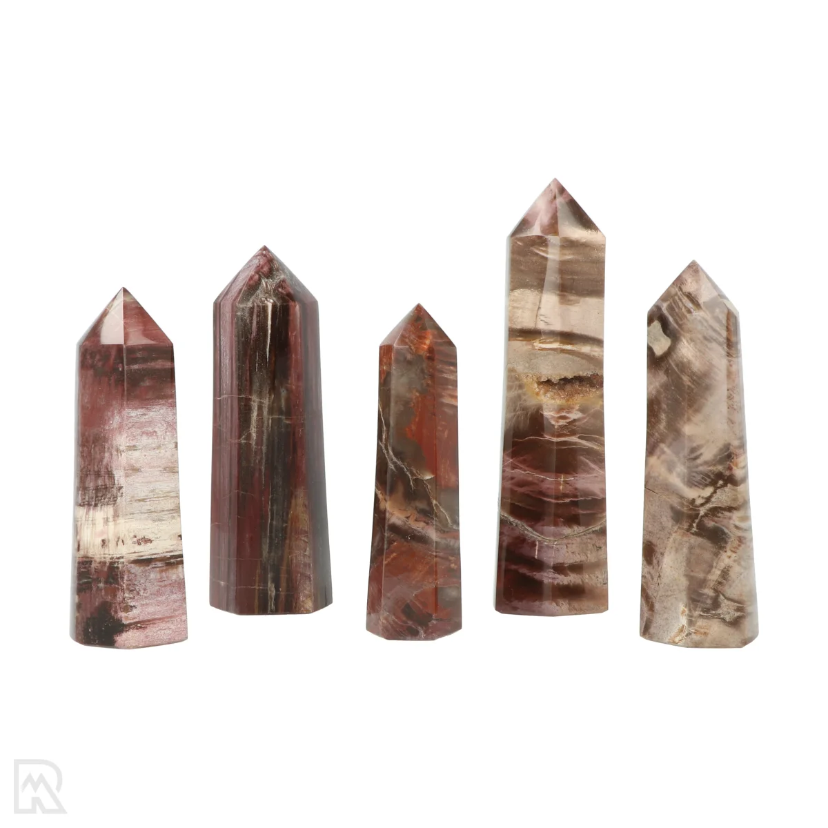 Versteend Hout Punten Madagaskar 1 Versteinerte Holzspitzen Madagaskar