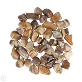 Petrified Wood Tumblestones