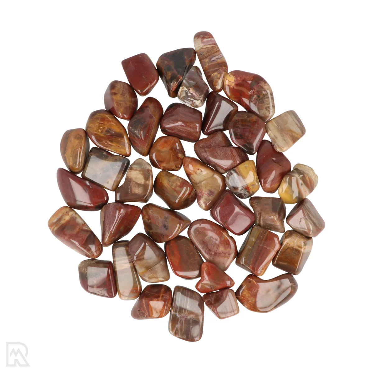 Versteend Hout Trommelstenen 1 Petrified Wood Tumblestones