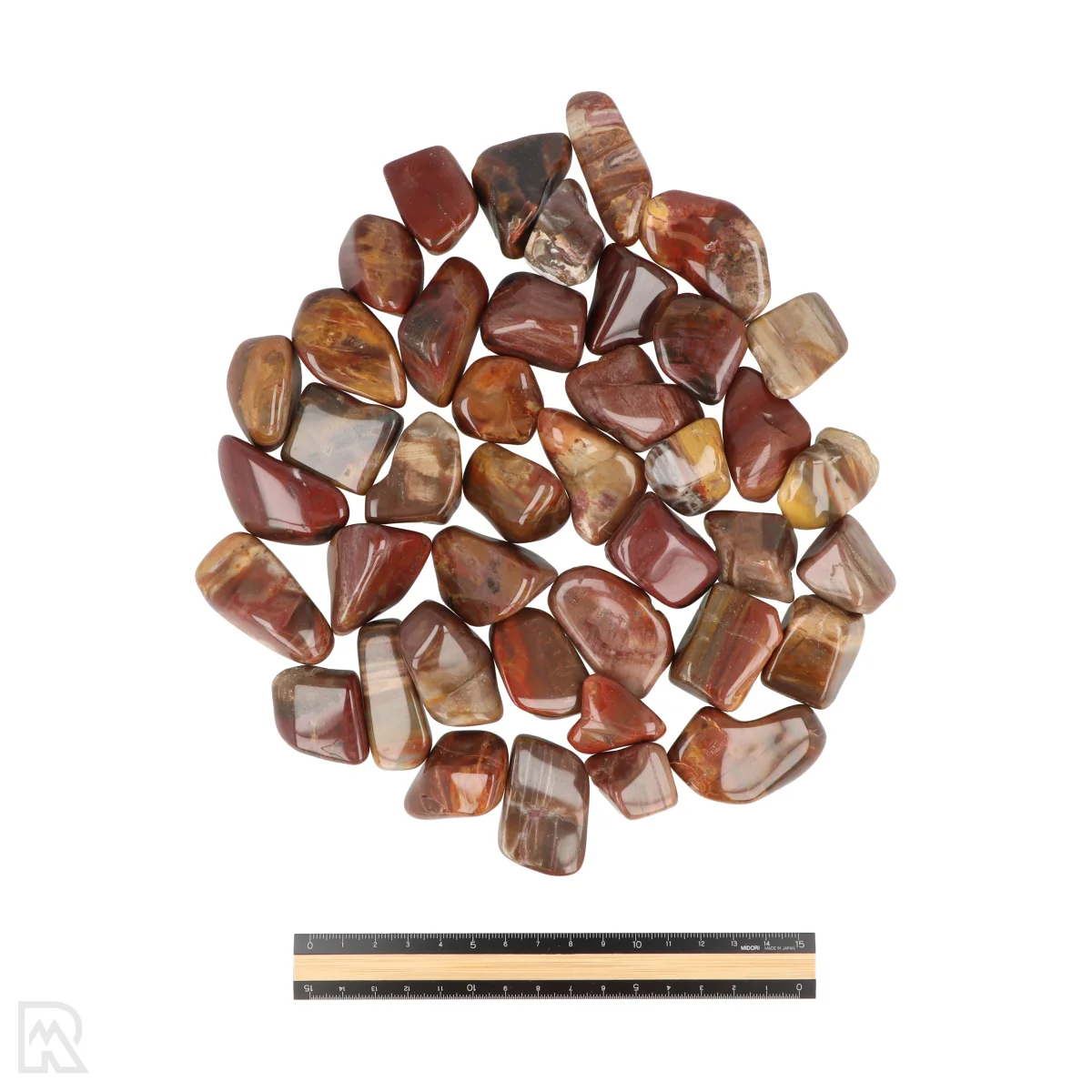 Versteend Hout Trommelstenen 3 Versteend Hout Trommelstenen - Image 3