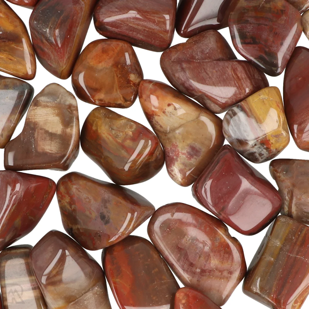 Versteend Hout Trommelstenen 2 Versteend Hout Trommelstenen - Image 2