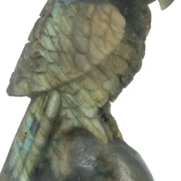 Labradoriet Carving uit China met artikelnummer 21371