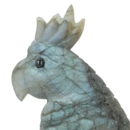 Labradoriet Carving uit China met artikelnummer 21382