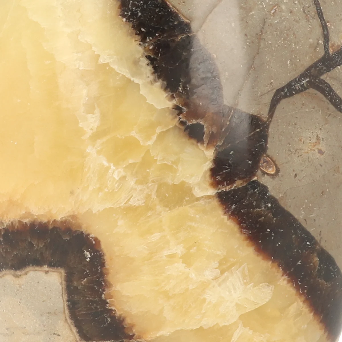 Septarie Sculpture 2 Septarie Sculpture from Madagascar with item number 21409