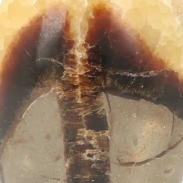 Septarie Sculpture from Madagascar with item number 21410