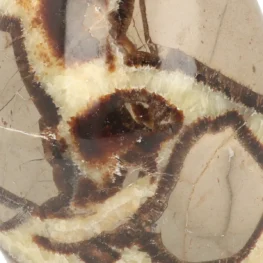 Septarie Sculpture from Madagascar with item number 21412