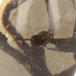 Septarie Sculpture from Madagascar with item number 21413