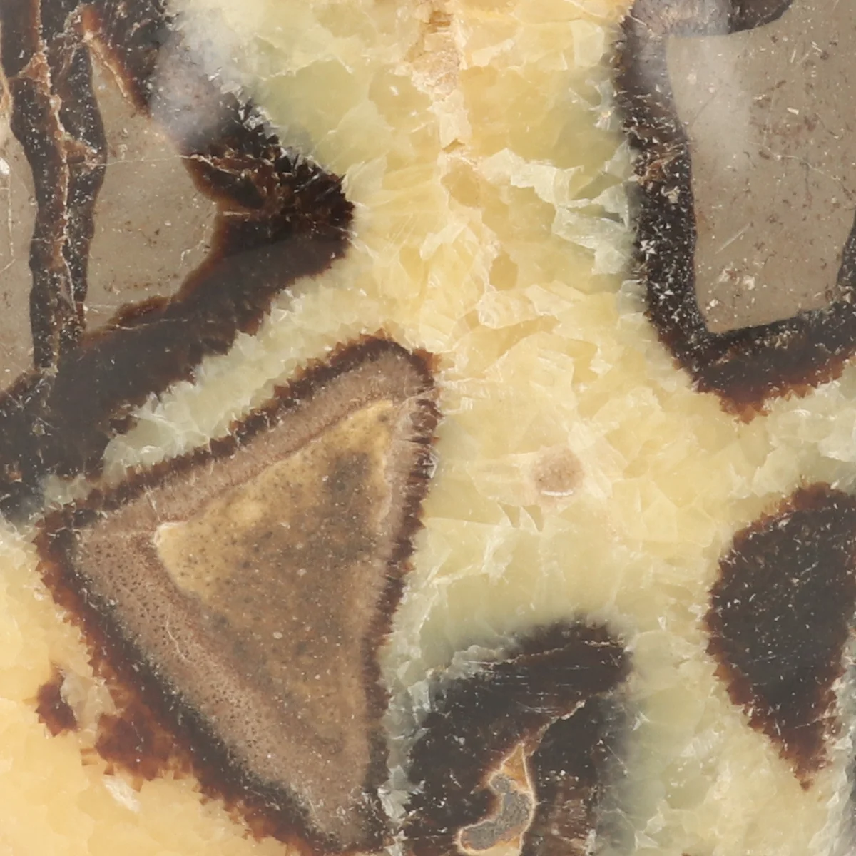 Septarie Sculpture 2 Septarie Sculpture from Madagascar with item number 21415