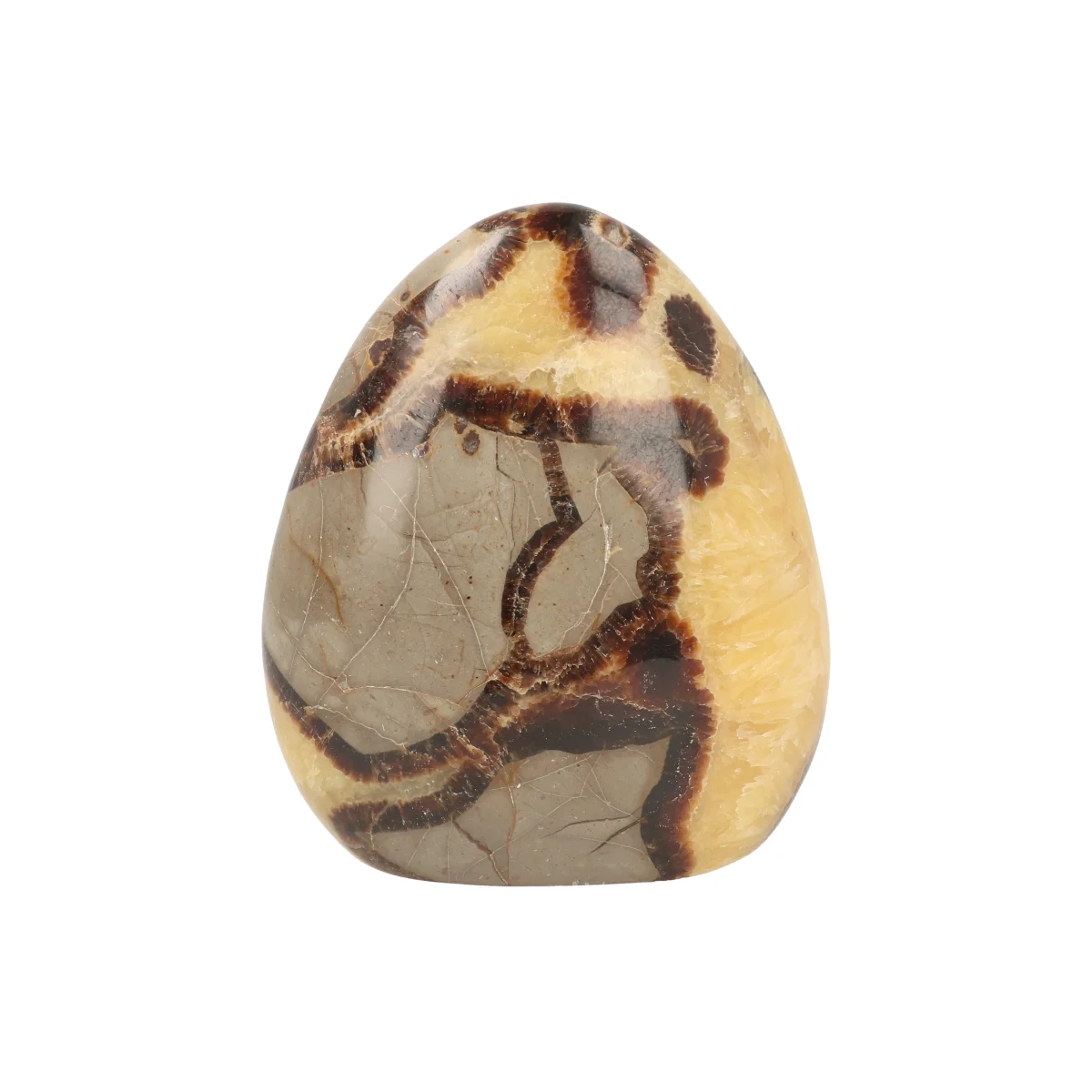 Septarie Sculpture 4 Septarie Sculpture from Madagascar with item number 21416