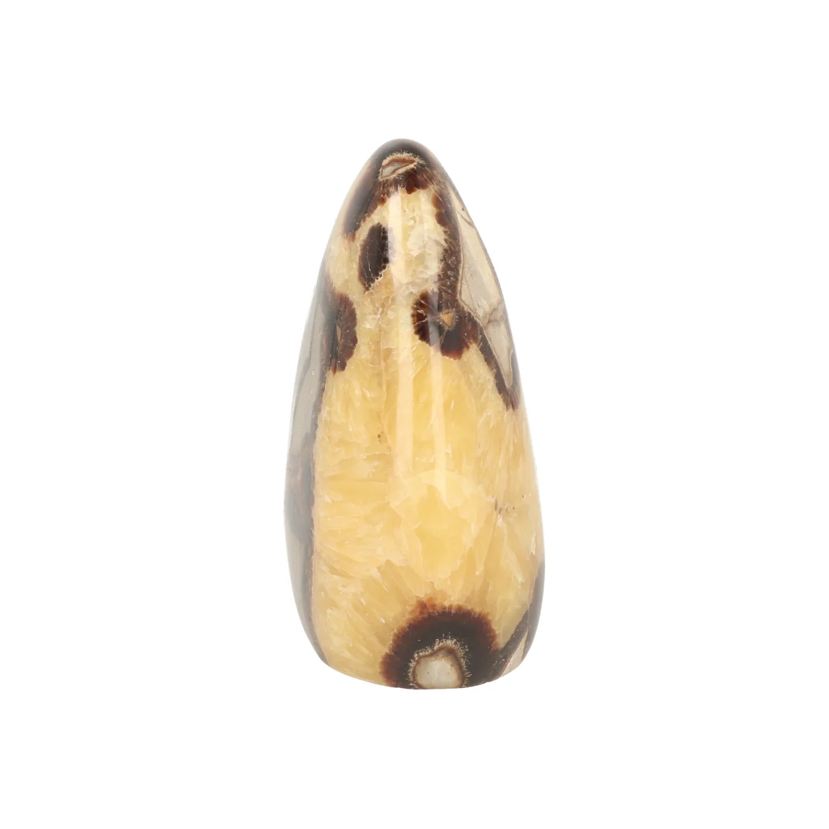 Septarie Sculpture 5 Septarie Sculpture from Madagascar with item number 21416