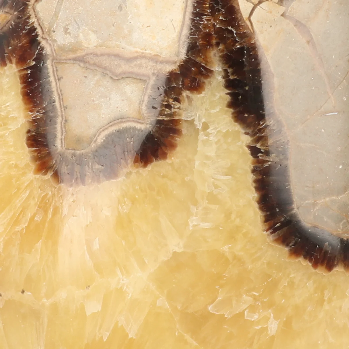 Septarie Sculpture 2 Septarie Sculpture from Madagascar with item number 21416